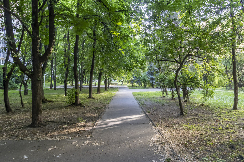 Mieszkanie Sprzedaż Warszawa Burgaska